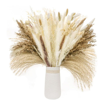 Pampas Dried Flowers Set